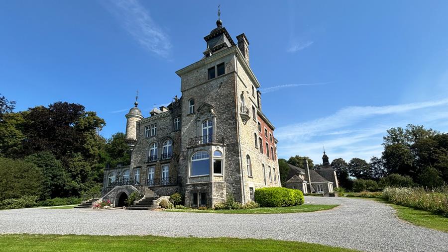 Des corniches retrouvent leur éclat royal